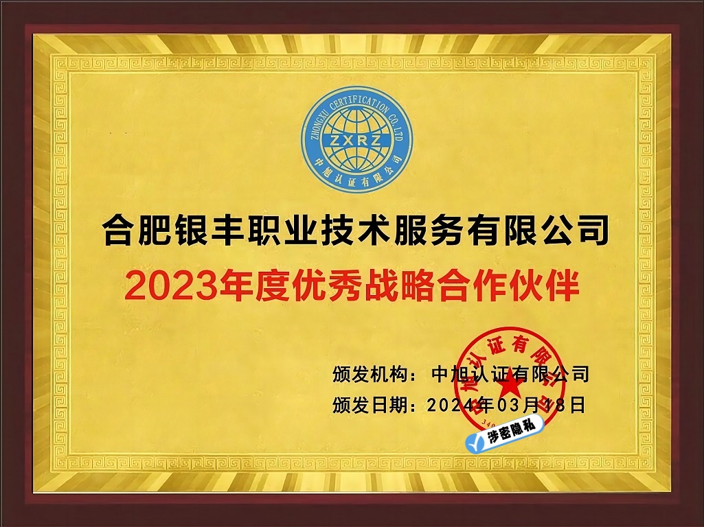 合肥银丰职业技术服务有限公司 - 副本 - 副本.jpg